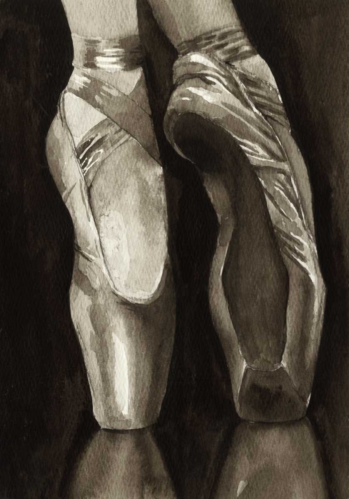 Wall Art Painting id:61560, Name: Ballet Shoes I, Artist: Popp, Grace