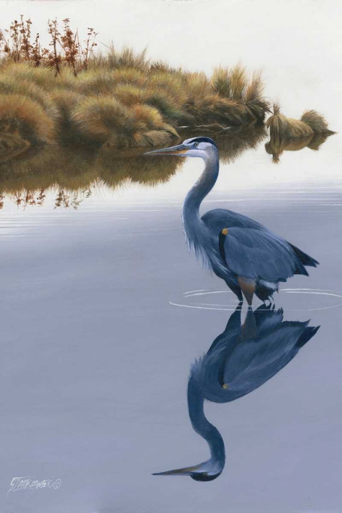 Art Print: Blackwater Reflections II