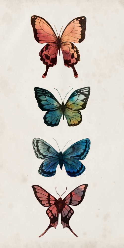 Wall art: Fairy Study I, by Popp, Grace