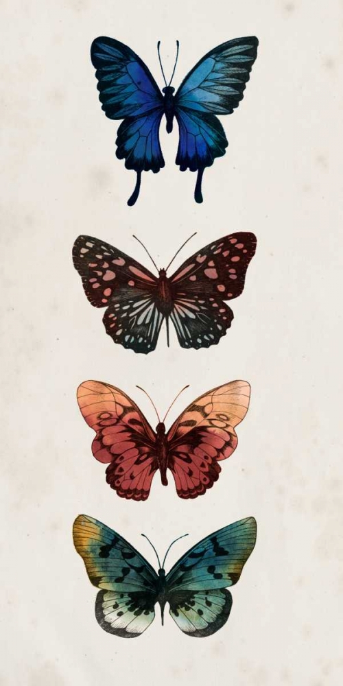 Wall art: Fairy Study II, by Popp, Grace