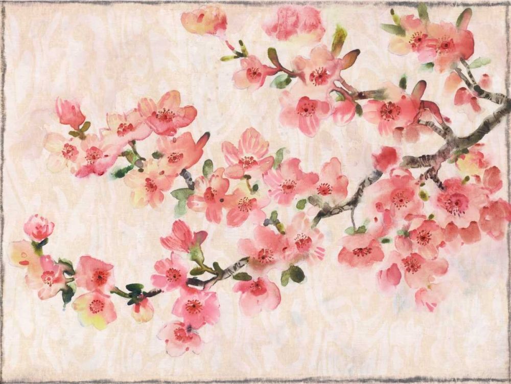 Wall Art Painting id:61870, Name: Cherry Blossom Composition I, Artist: OToole, Tim