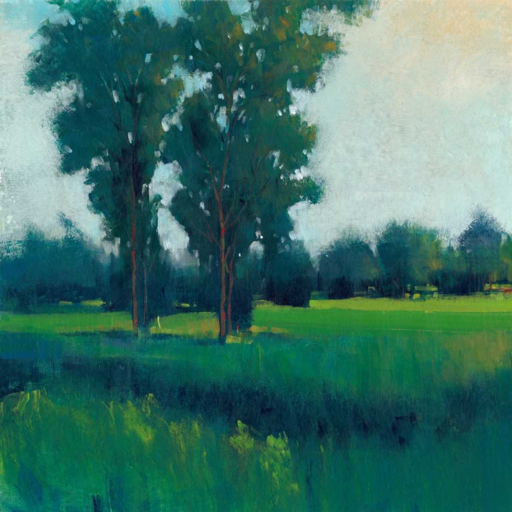 Wall Art Painting id:61872, Name: Afternoon Sun I, Artist: OToole, Tim