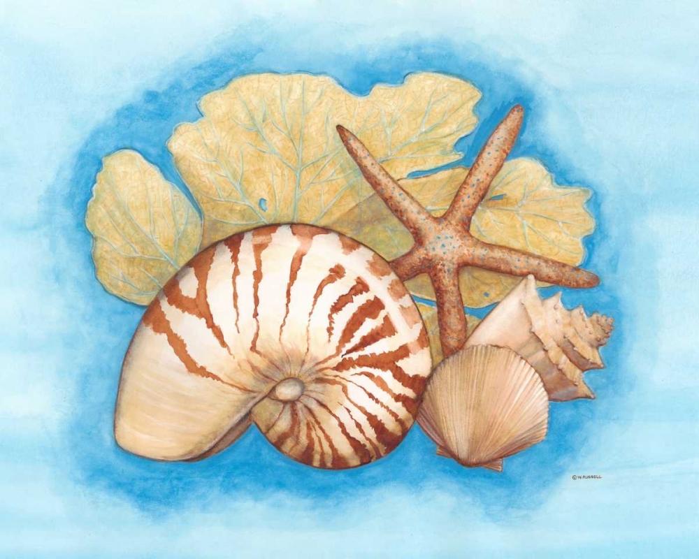 Wall Art Painting id:68627, Name: Seashells and Seafan I, Artist: Russell, Wendy