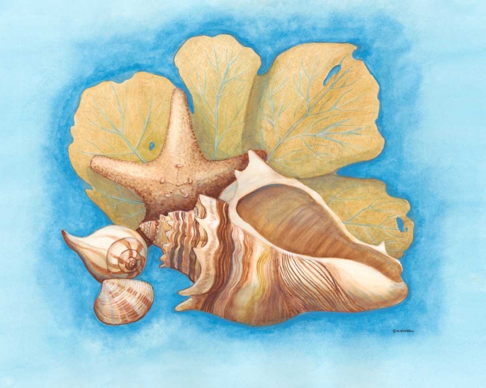 Wall Art Painting id:68628, Name: Seashells and Seafan II, Artist: Russell, Wendy