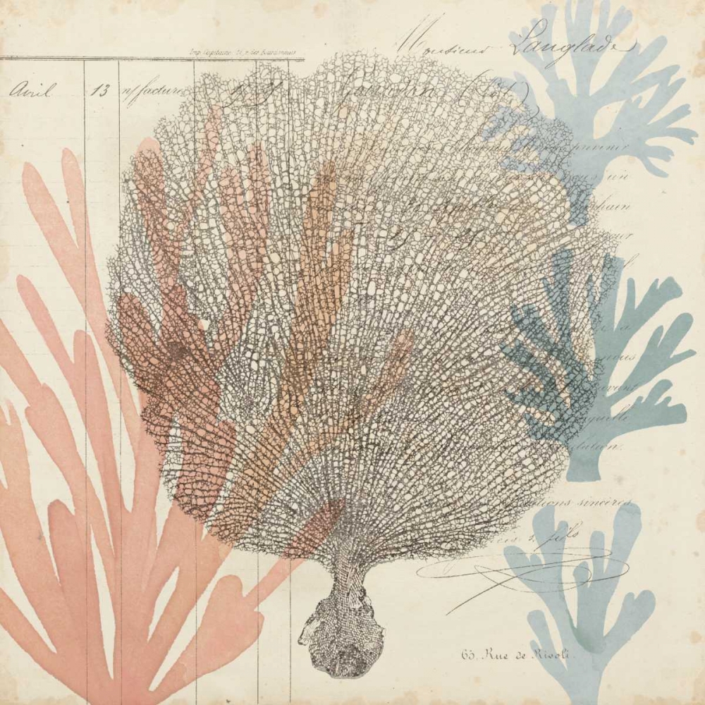 Wall Art Painting id:61880, Name: Sea Ephemera I, Artist: Popp, Grace