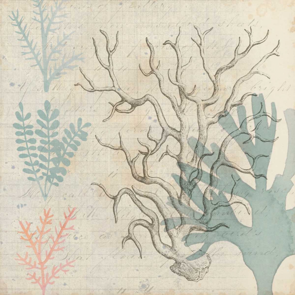 Wall Art Painting id:61881, Name: Sea Ephemera II, Artist: Popp, Grace