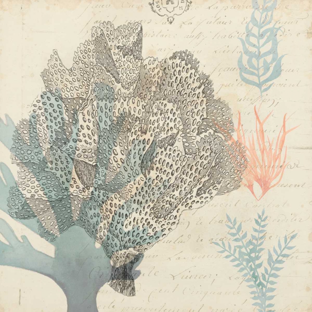 Wall Art Painting id:61882, Name: Sea Ephemera III, Artist: Popp, Grace