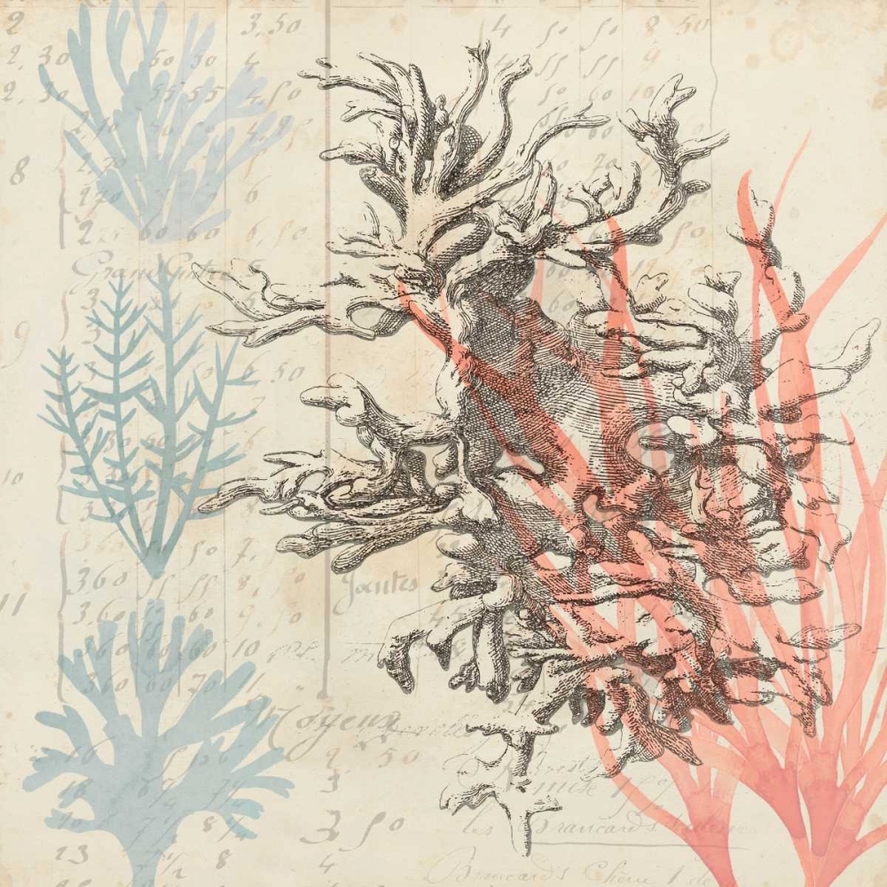 Wall Art Painting id:61883, Name: Sea Ephemera IV, Artist: Popp, Grace