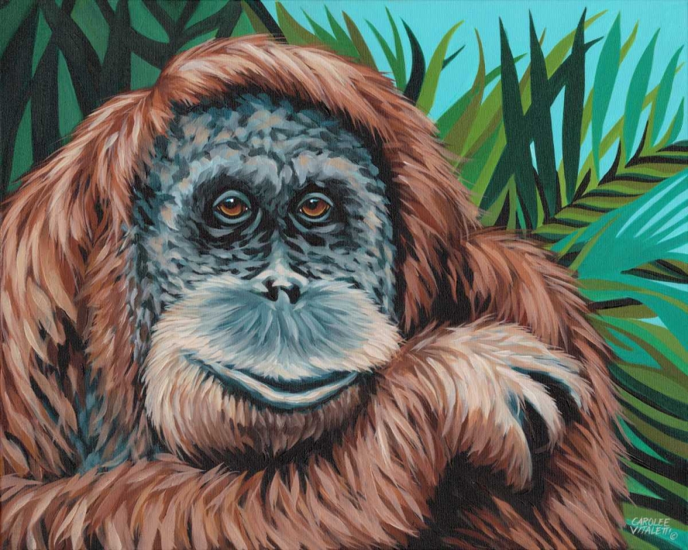Wall Art Painting id:77573, Name: Jungle Monkey I, Artist: Vitaletti, Carolee