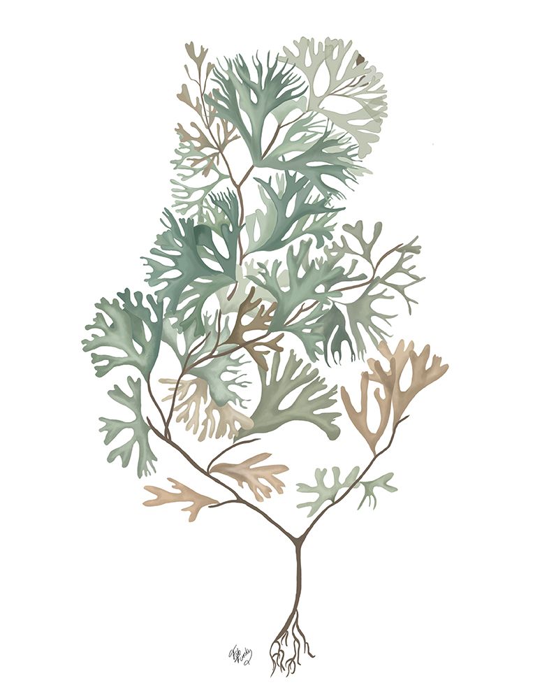 Art Print: Seaweed 4 Blue Large