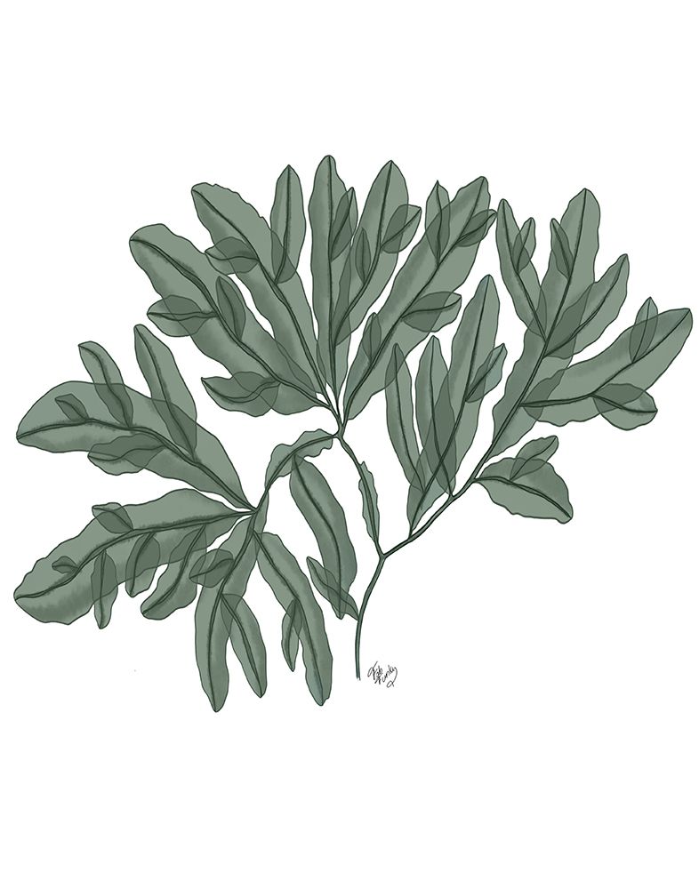 Art Print: Seaweed 4 Green