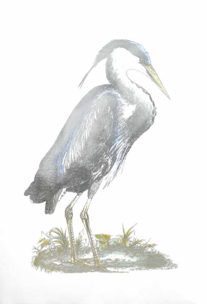 Art Print: Silver Foil Heron I with Hand Color