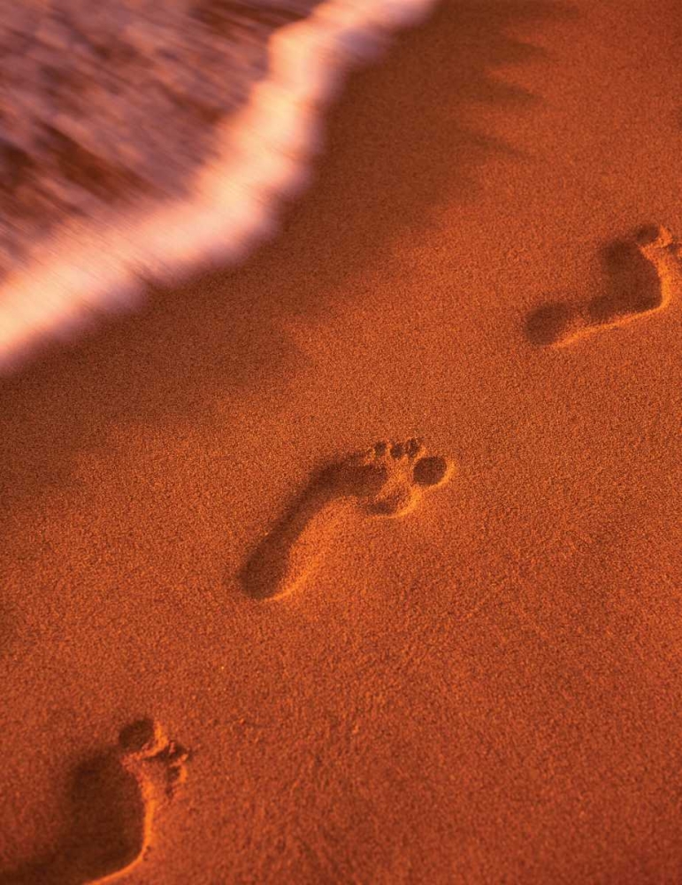 Art Print: Footprints