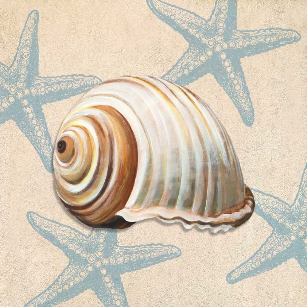 Wall Art Painting id:163216, Name: Ocean Gift III, Artist: Broome, Ted