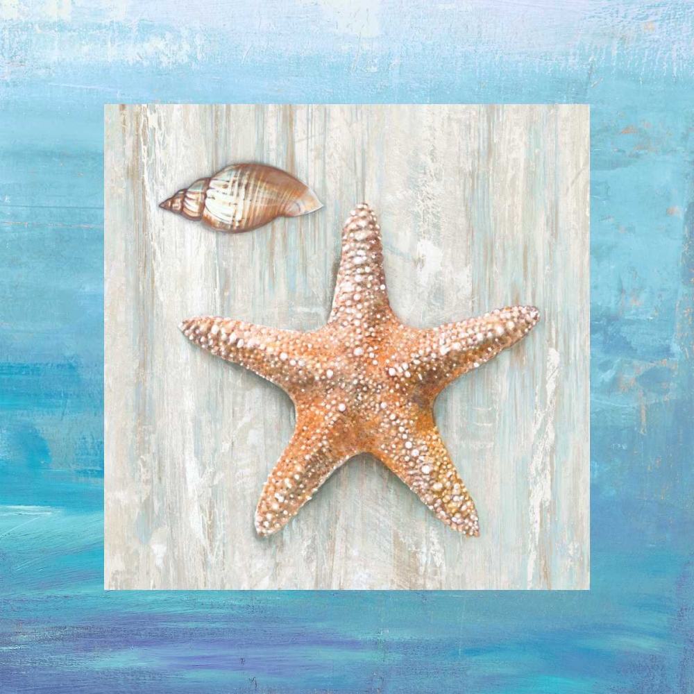 Wall Art Painting id:163203, Name: From the Sea II, Artist: Broome, Ted