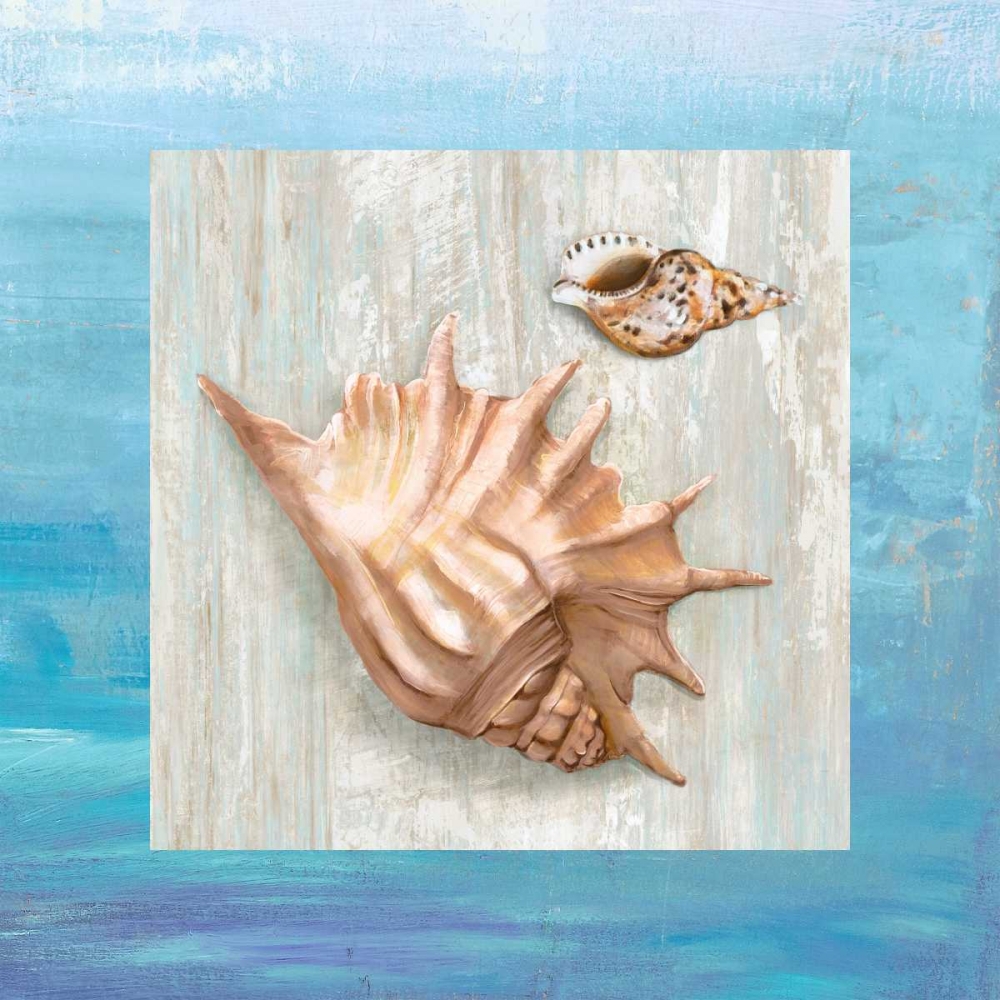 Wall Art Painting id:163204, Name: From the Sea III, Artist: Broome, Ted