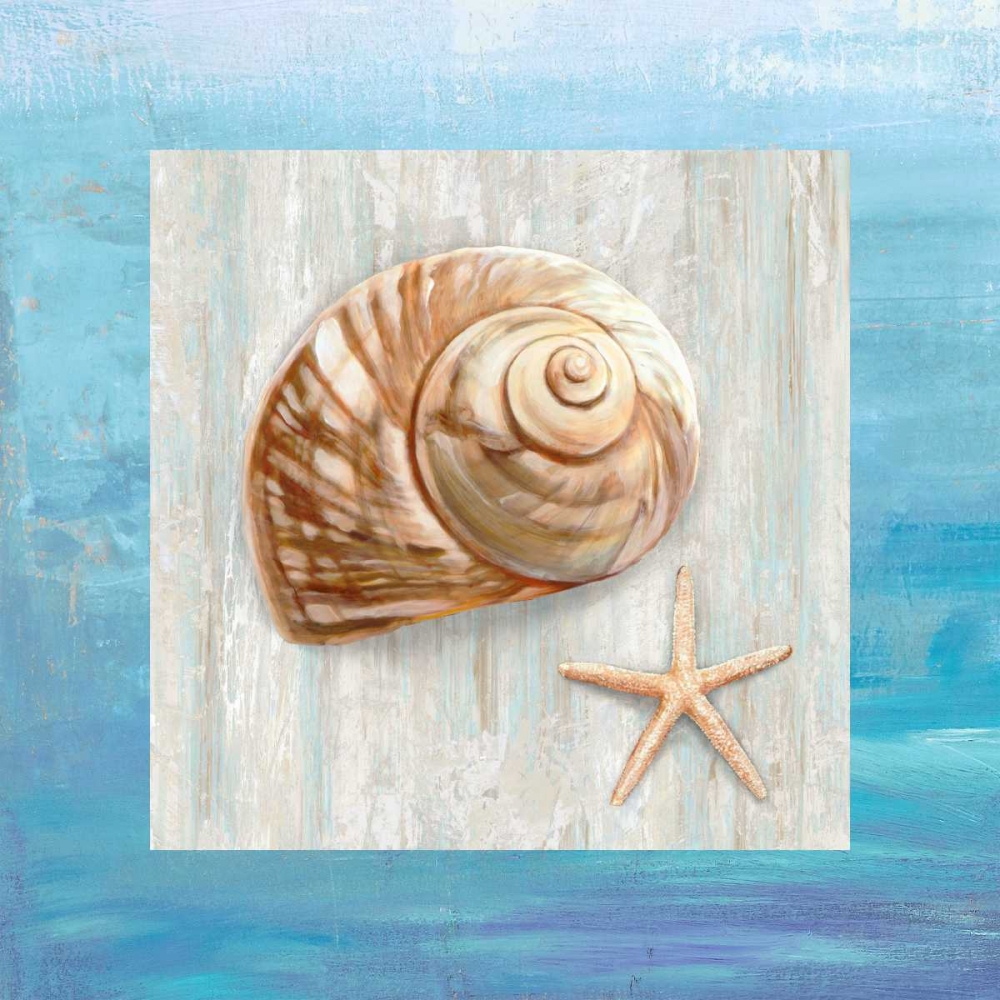 Wall Art Painting id:163205, Name: From the Sea IV, Artist: Broome, Ted