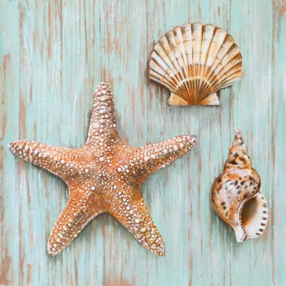 Wall art: Bretagne IV, by Broome, Ted