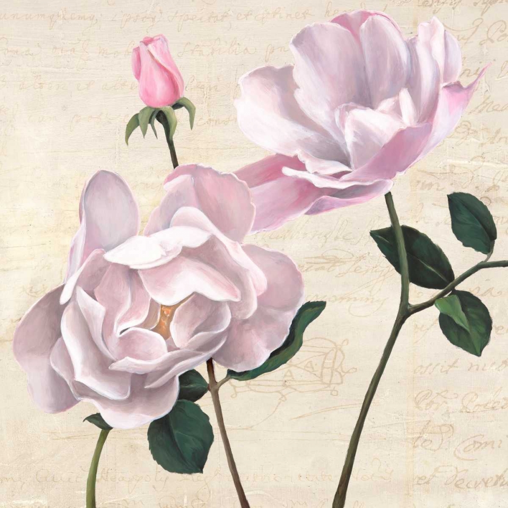 Wall Art Painting id:42709, Name: Classica II, Artist: Dellal, Remy