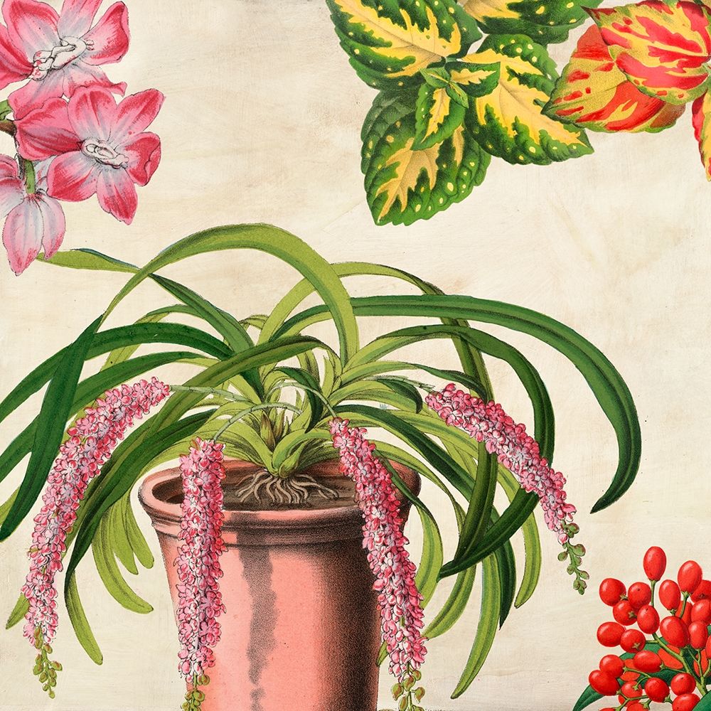 Wall Art Painting id:193453, Name: Panneau Botanique VII, Artist: Dellal, Remy