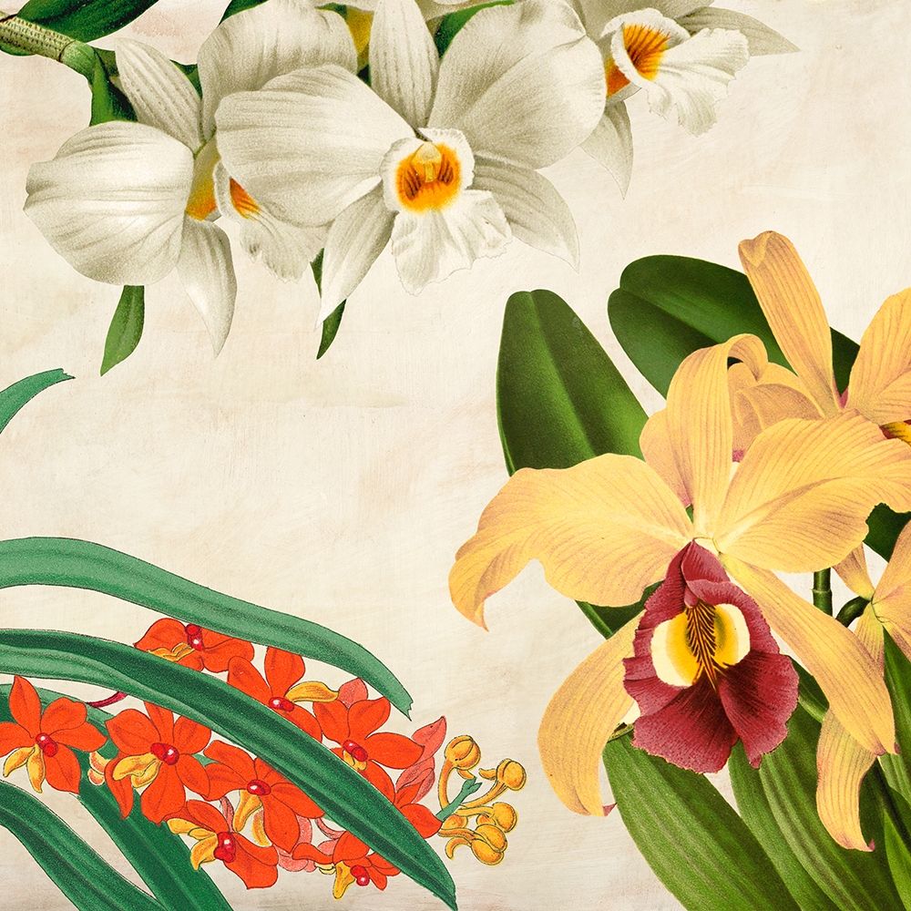 Wall Art Painting id:193454, Name: Panneau Botanique VIII, Artist: Dellal, Remy