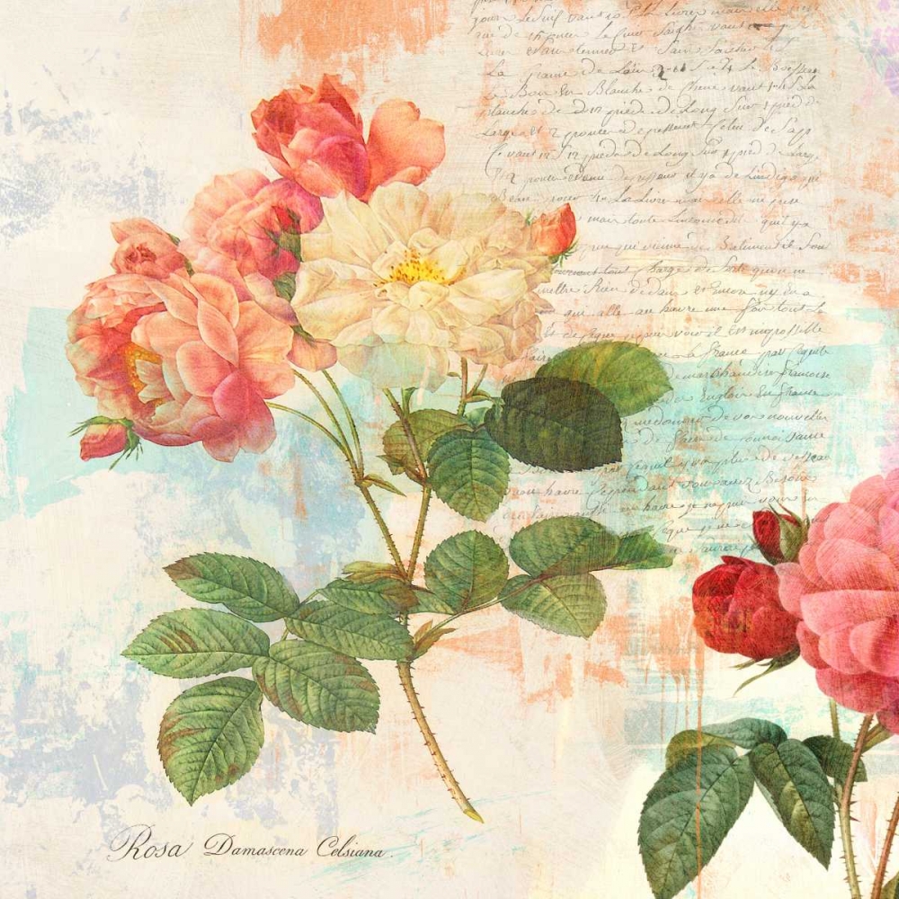 Art Print: Redoutes Roses 2.0 - I 