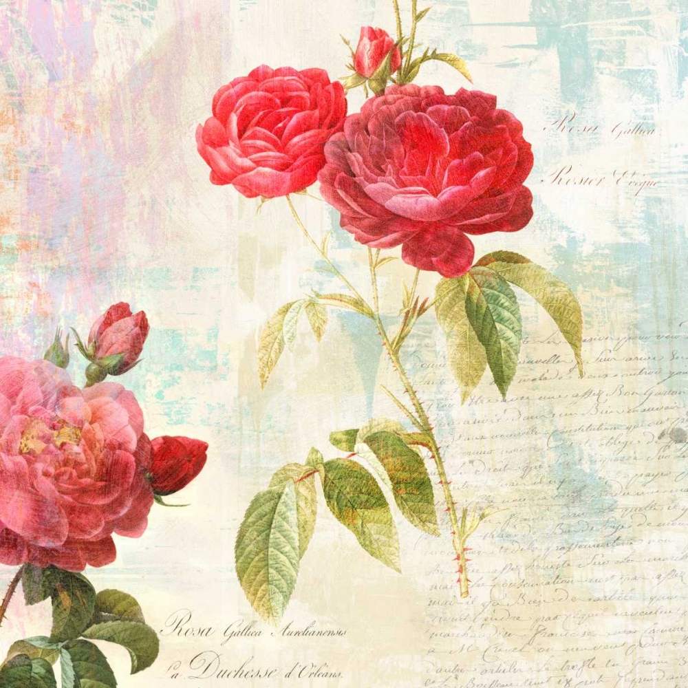 Art Print: Redoutes Roses 2.0 - II 