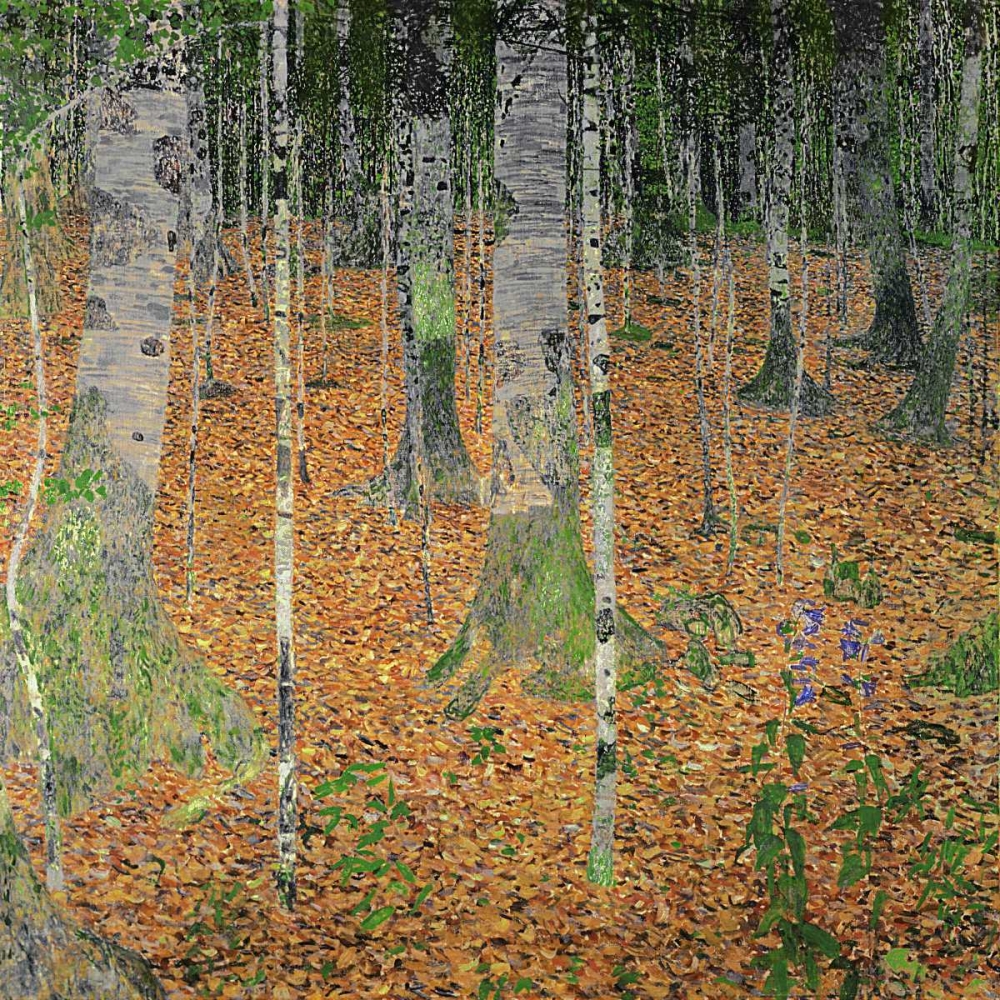 Art Print: The Birch Wood