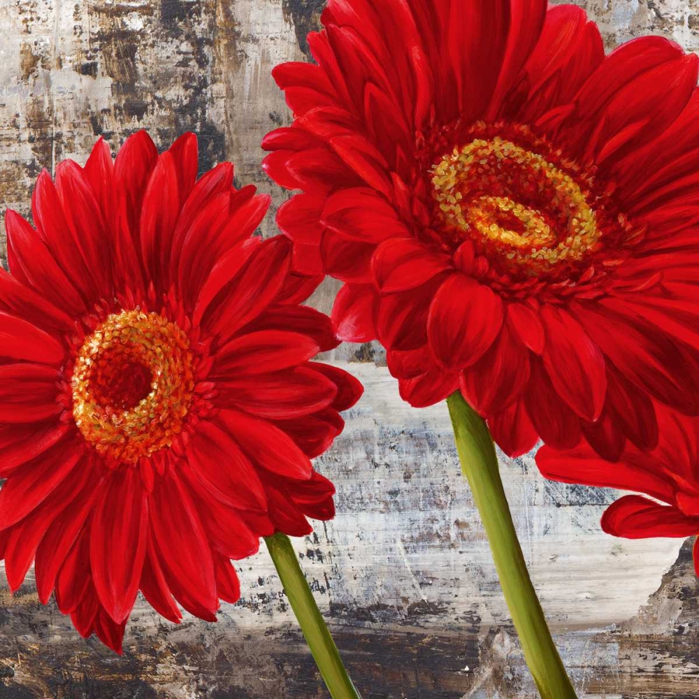 Wall Art Painting id:42548, Name: Red Gerberas I, Artist: Thomlinson, Jenny