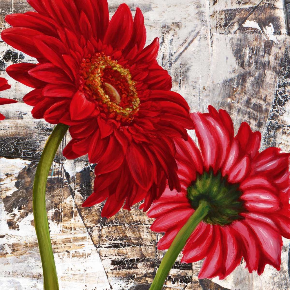 Wall Art Painting id:42550, Name: Red Gerberas III, Artist: Thomlinson, Jenny