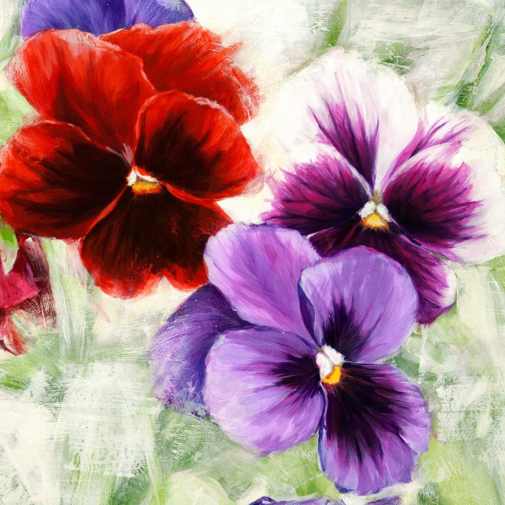 Wall Art Painting id:47893, Name: Pansies I, Artist: Thomlinson, Jenny