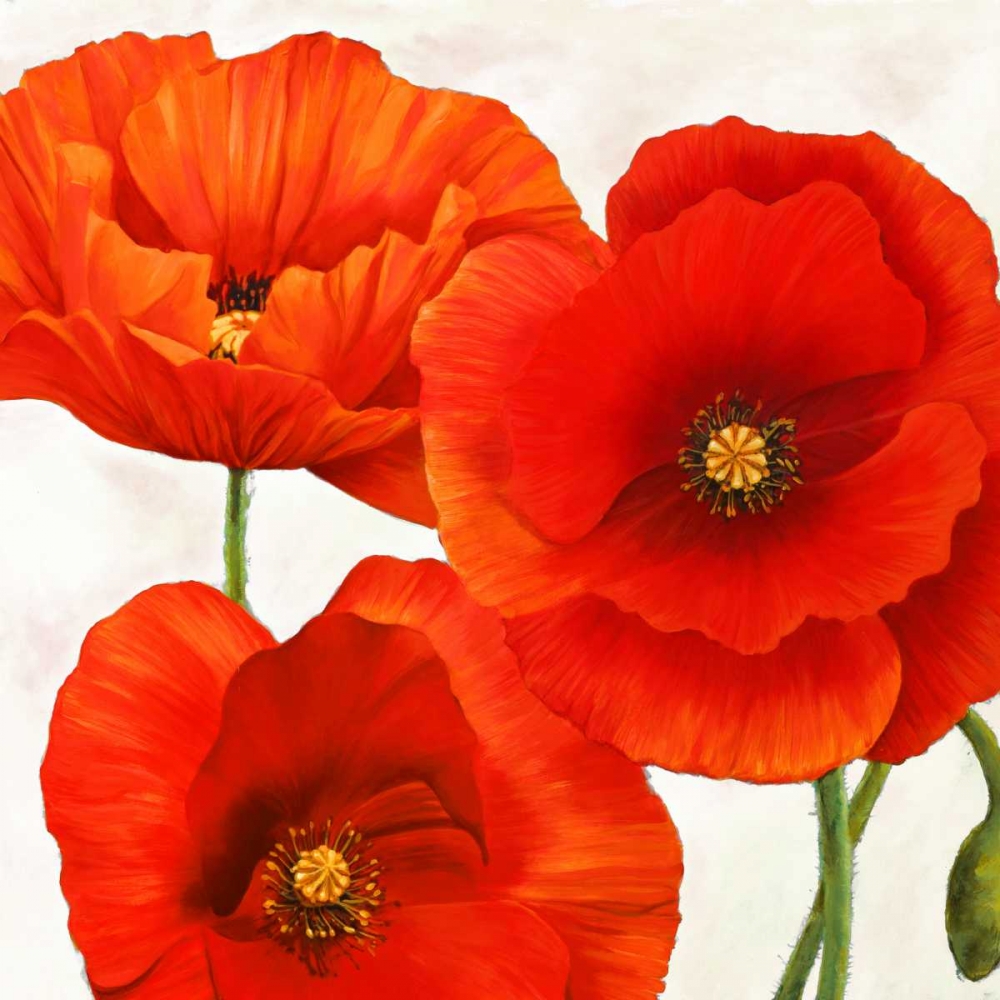 Wall Art Painting id:42565, Name: Poppies I, Artist: Villa, Luca
