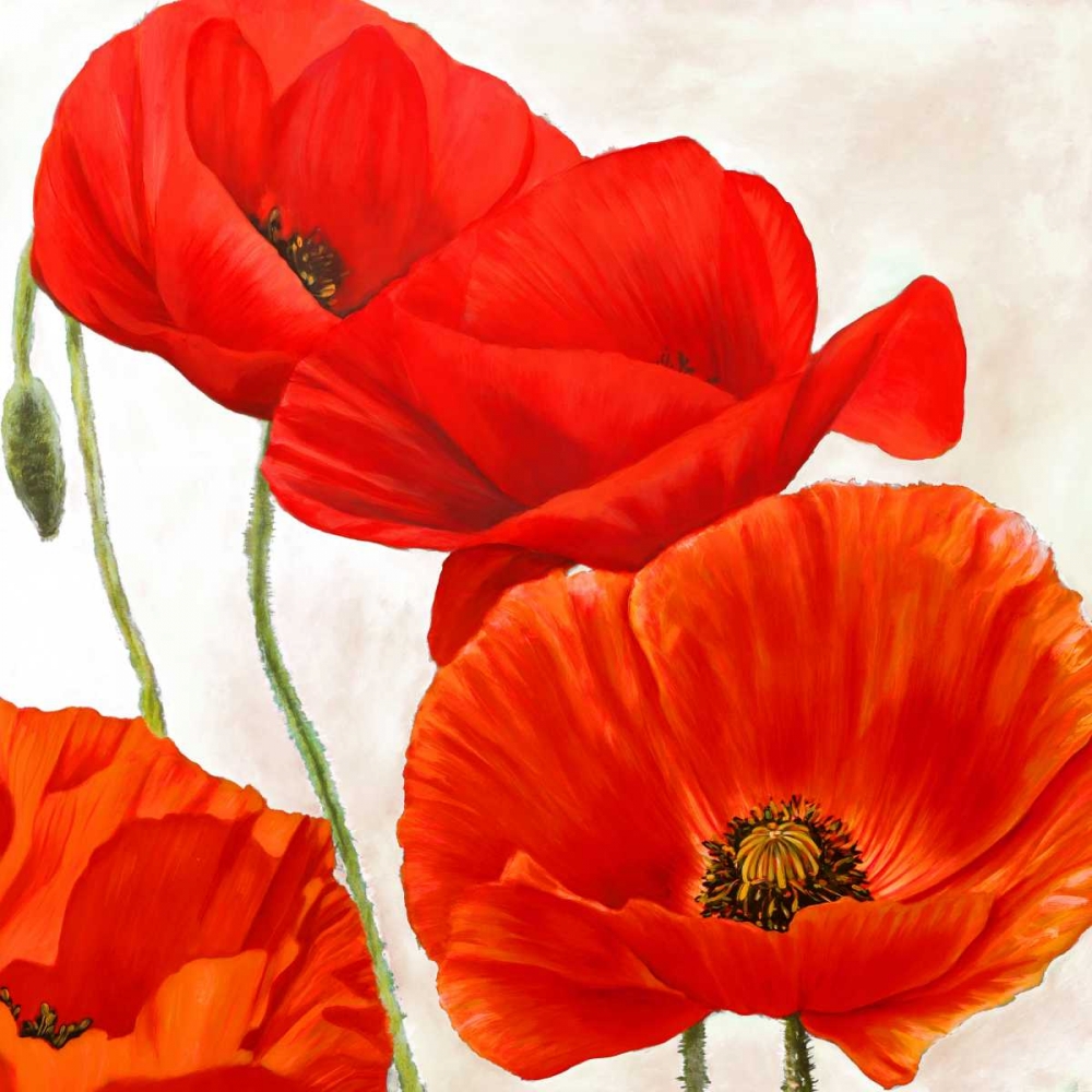 Wall Art Painting id:42566, Name: Poppies II, Artist: Villa, Luca