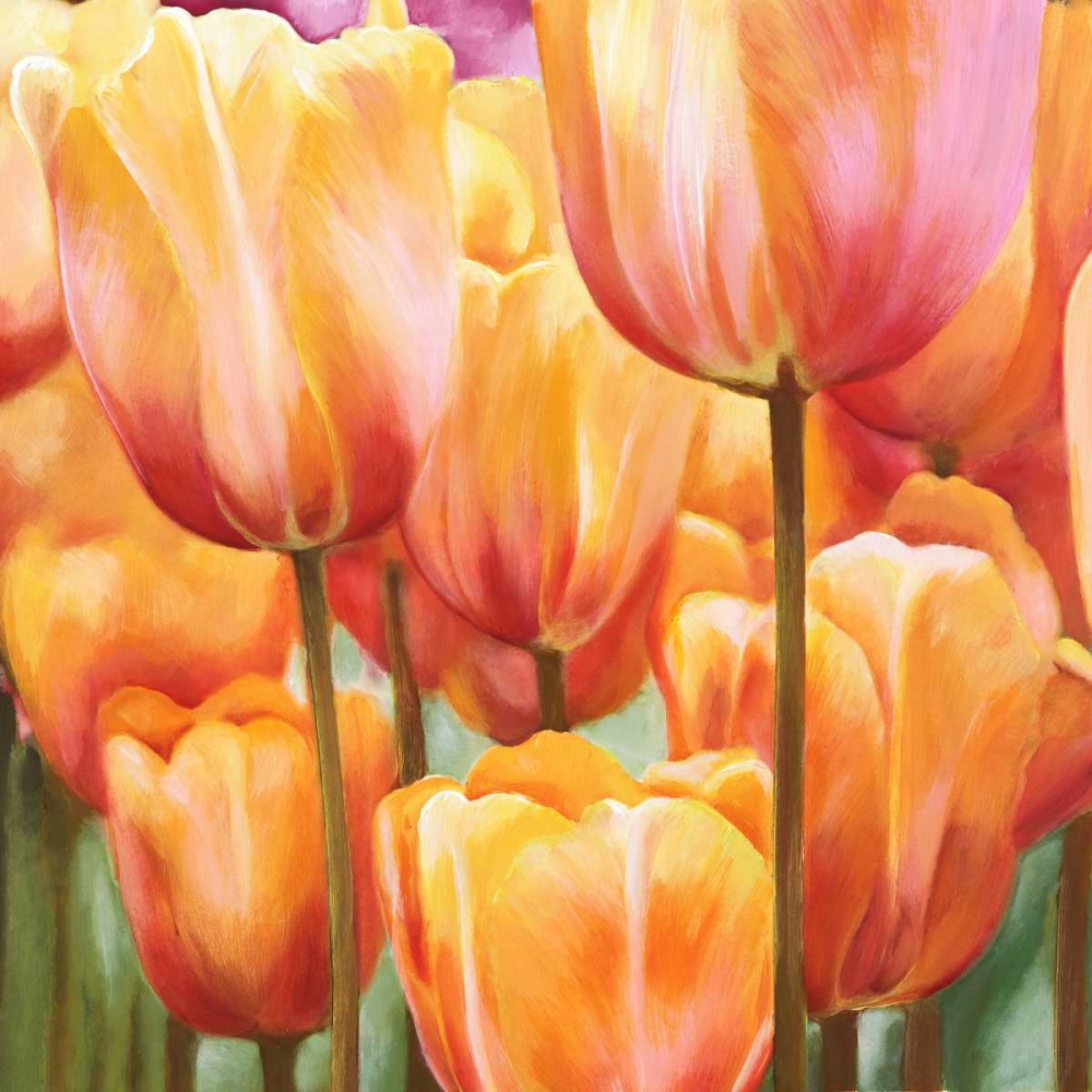 Wall Art Painting id:42568, Name: Spring Tulips II, Artist: Villa, Luca