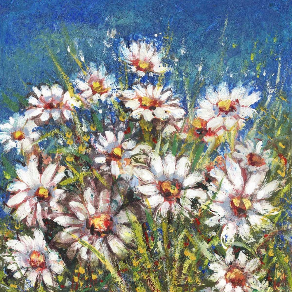 Art Print: Campo di margherite