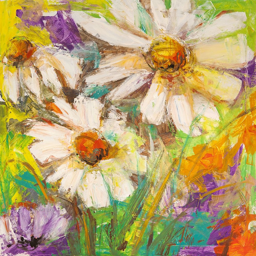 Art Print: Margherite in fiore