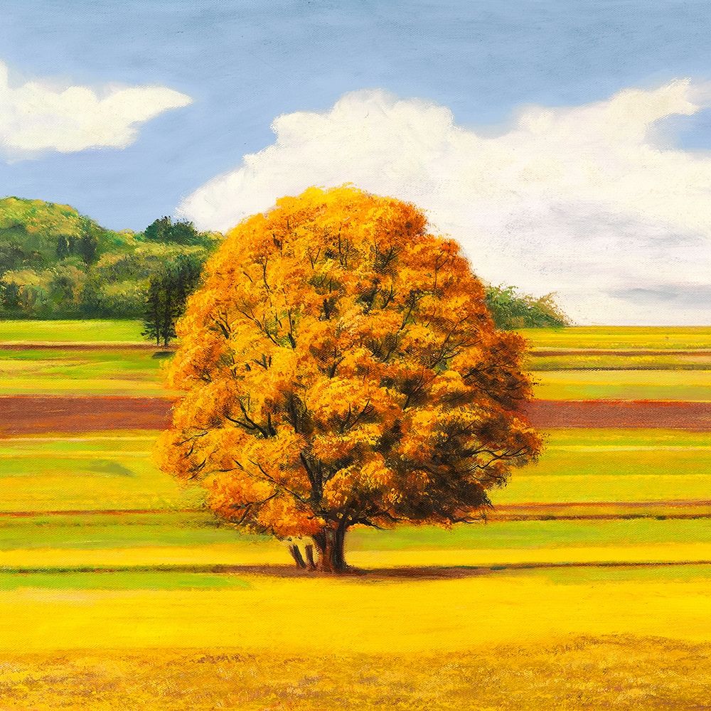 Art Print:  Pianure serene I (detail)