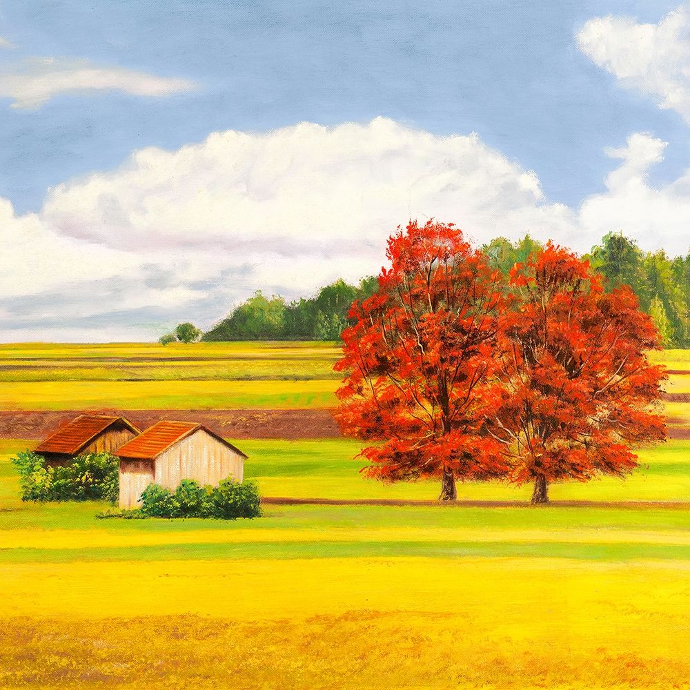 Art Print:  Pianure serene II (detail)