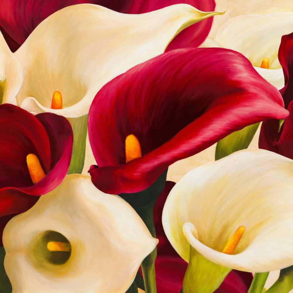 Wall Art Painting id:42554, Name: Calla composition, Artist: Biffi, Serena