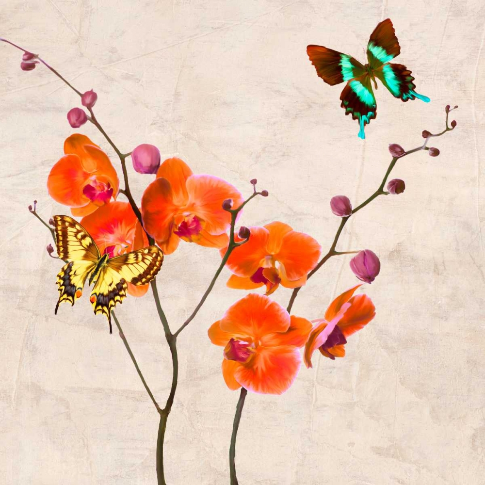 Wall Art Painting id:42768, Name: Orchids and Butterflies I, Artist: Rizzardi, Teo