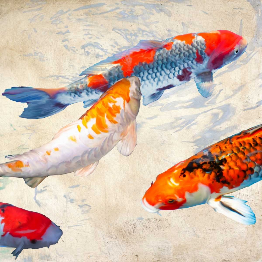 Wall Art Painting id:42775, Name: Koi II, Artist: Rizzardi, Teo