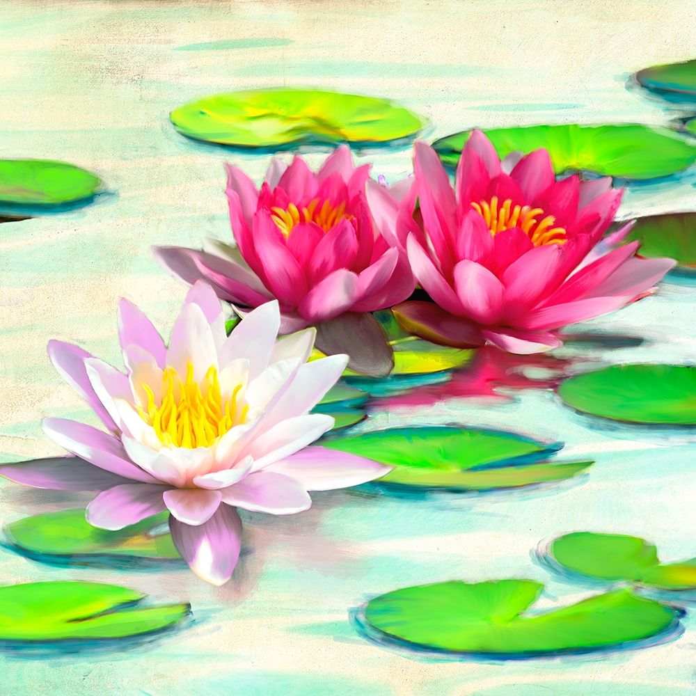 Wall art: Nympheas II, by Rizzardi, Teo