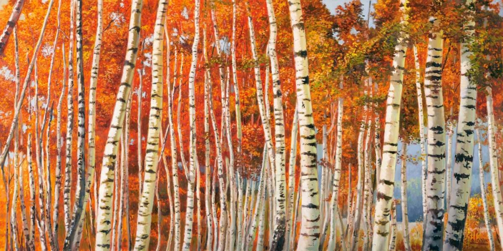 Art Print: Betulle d autunno