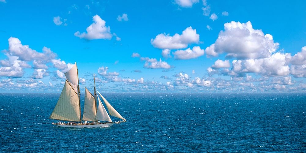 Art Print: Ocean Sailing