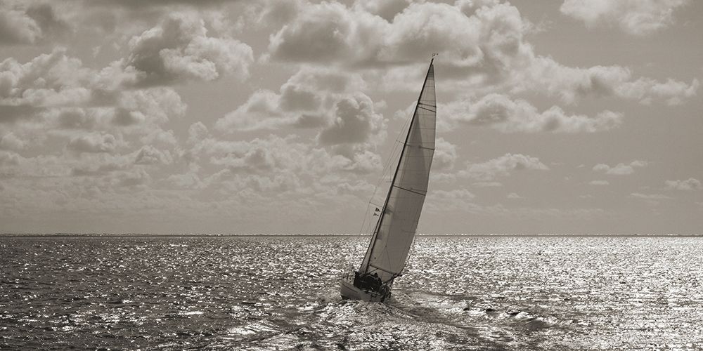 Art Print: Sailing (detail)