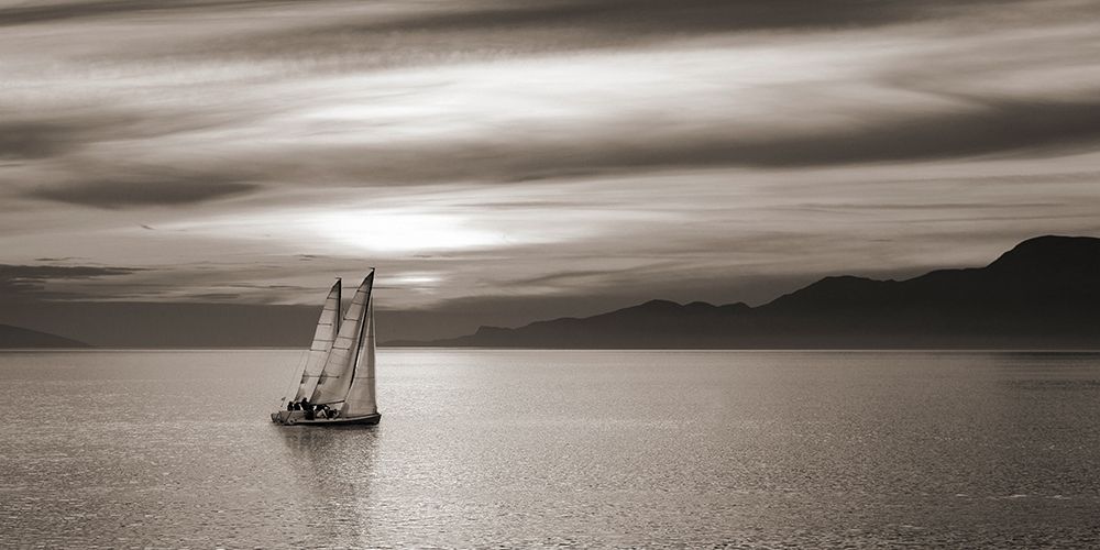 Art Print: Set Sails (detail)