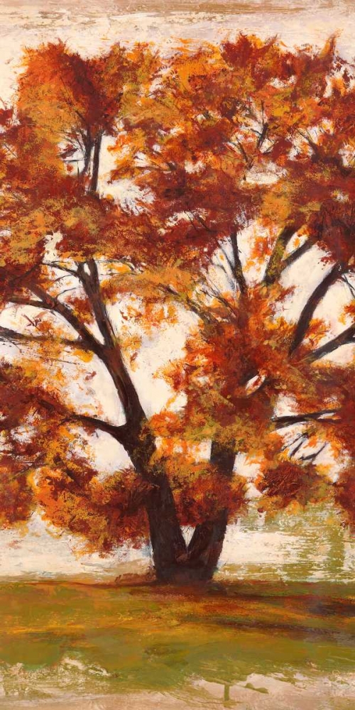 Wall art: Mattino II, by Bacci, Leonardo