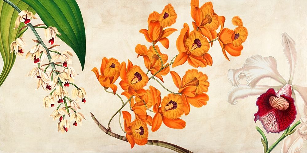 Wall Art Painting id:193456, Name: Panneau Botanique II, Artist: Dellal, Remy