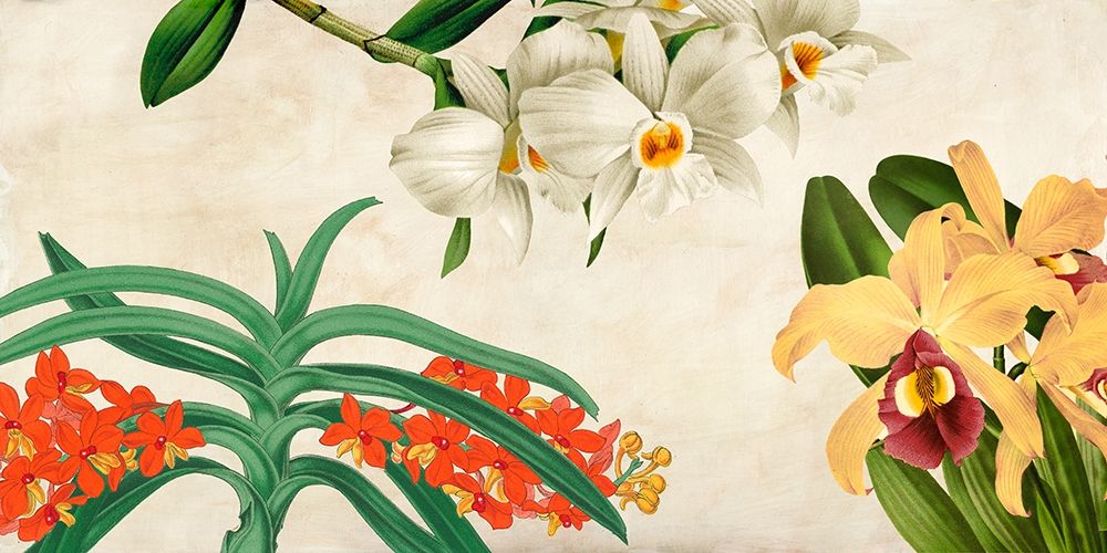 Wall Art Painting id:193457, Name: Panneau Botanique III, Artist: Dellal, Remy