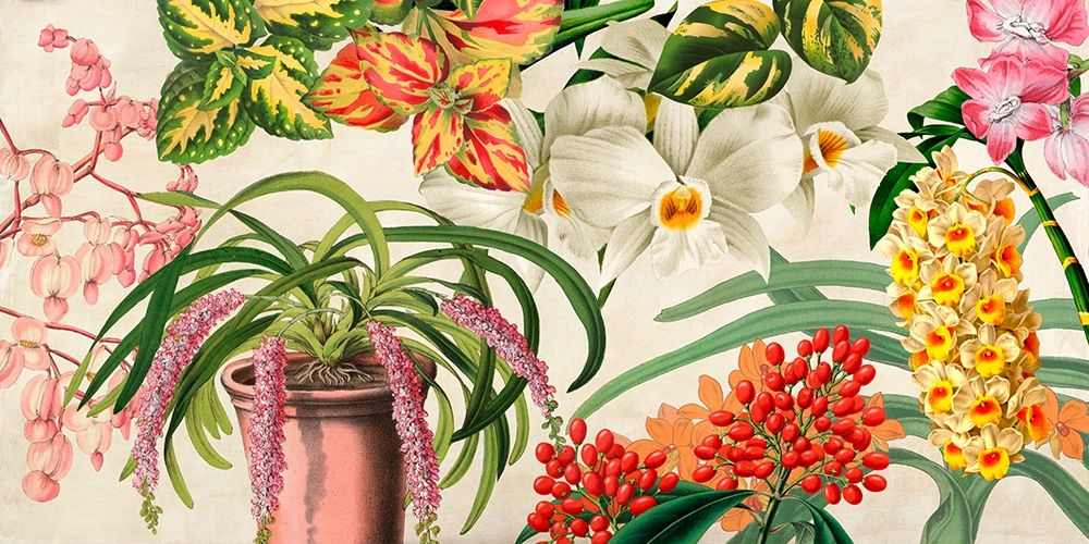 Wall Art Painting id:193458, Name: Panneau Botanique IV, Artist: Dellal, Remy